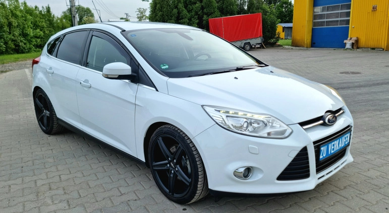 Ford Focus cena 35000 przebieg: 184816, rok produkcji 2013 z Łańcut małe 781